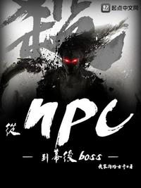 从NPC到幕后boss